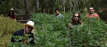 The Coffis Brothers w/ Taylor Rae